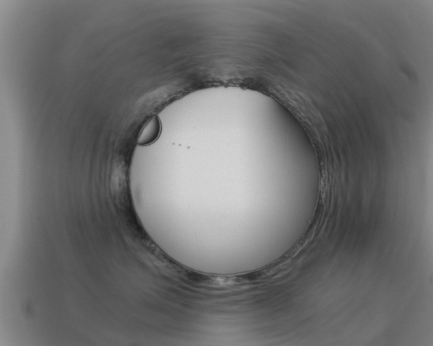 X0000115500623200911061023