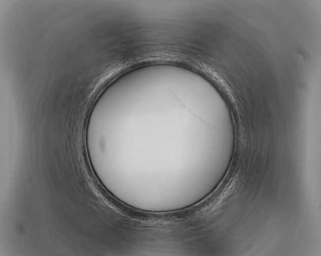 X0000115500625200911061023