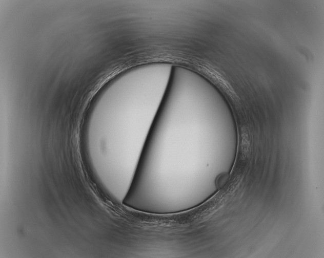 X0000115500626200911061023