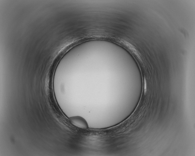 X0000115500627200911061023