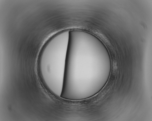X0000115500628200911061023