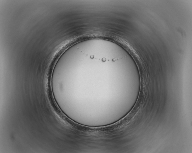 X0000115500629200911061023