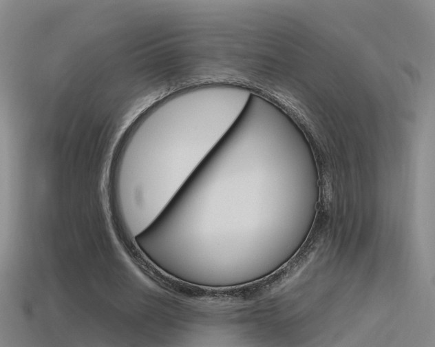 X0000115500630200911061023