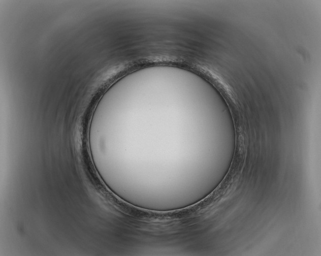 X0000115500631200911061023