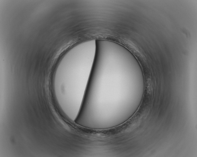 X0000115500634200911061023