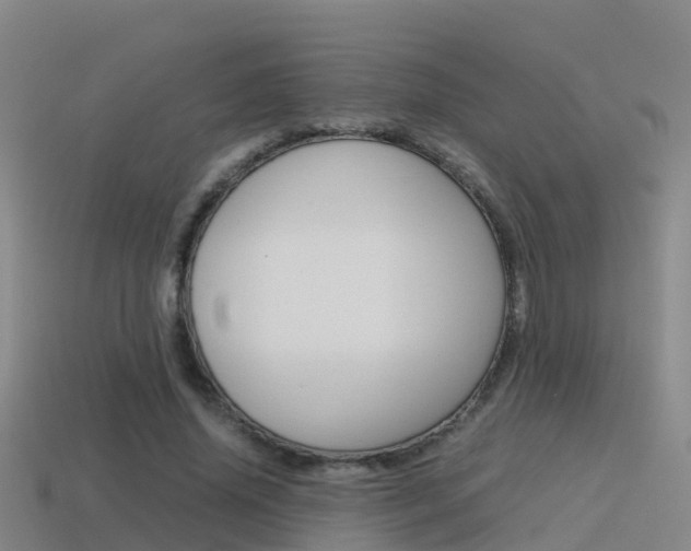 X0000115500636200911061023