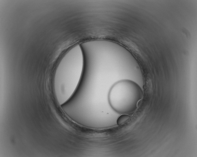 X0000115500638200911061023