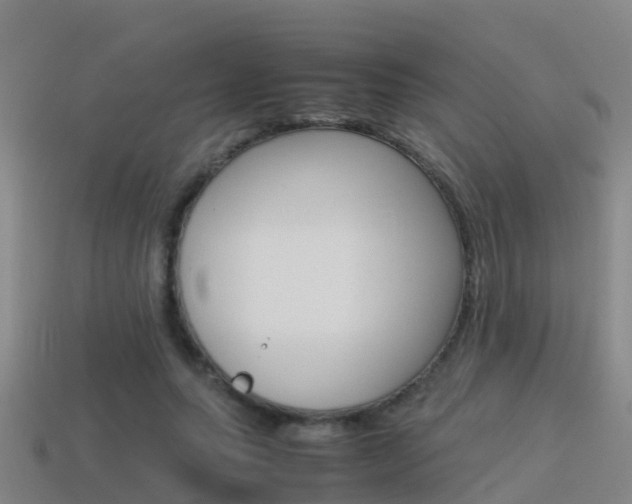 X0000115500639200911061023