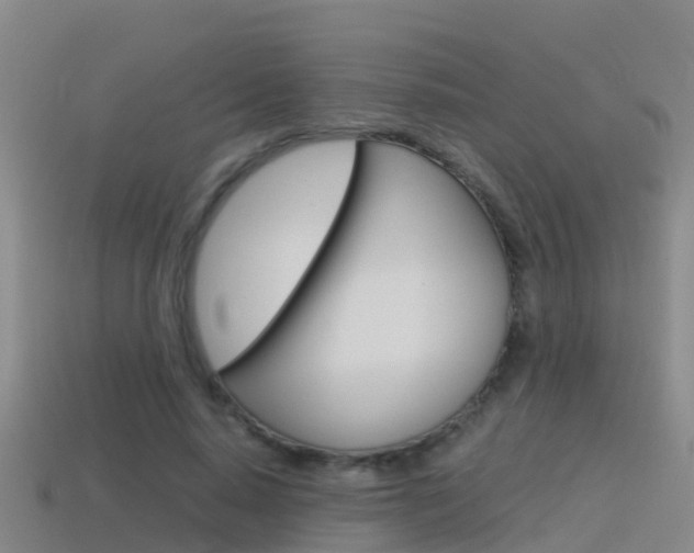 X0000115500640200911061023
