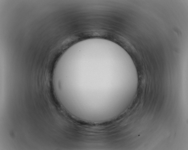 X0000115500643200911061023