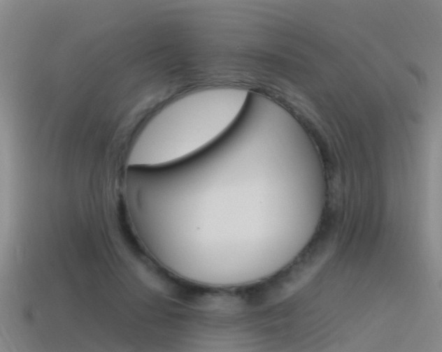 X0000115500644200911061023