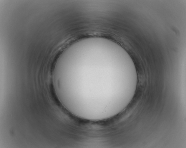X0000115500648200911061023