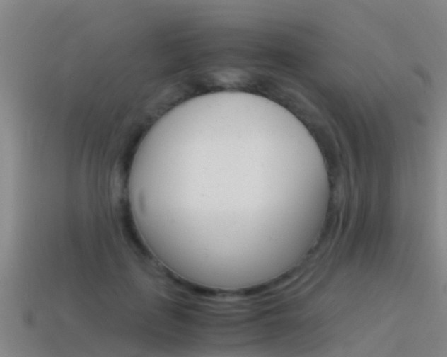 X0000115500651200911061023