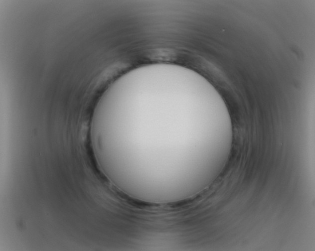 X0000115500652200911061023