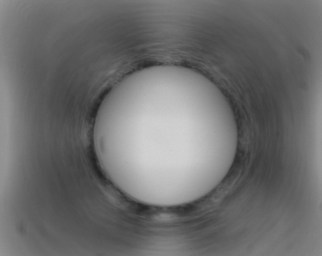 X0000115500658200911061023