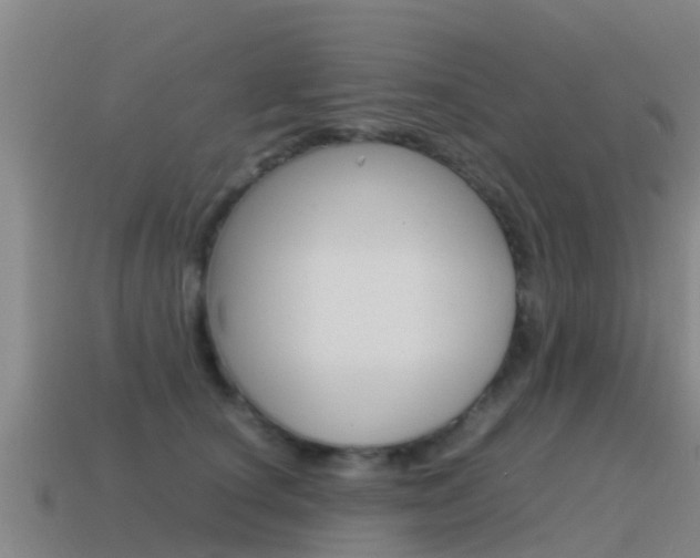 X0000115500660200911061023
