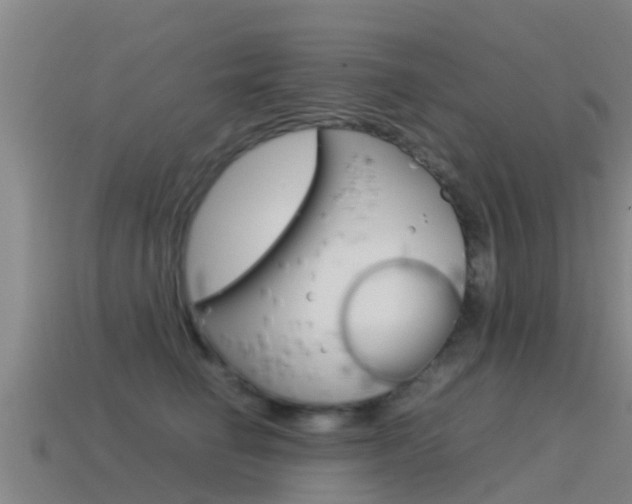 X0000115500662200911061023