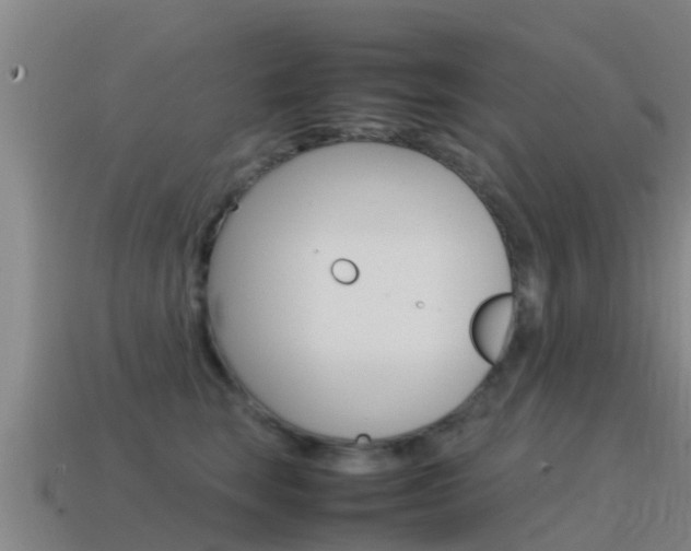 X0000115500663200911061023