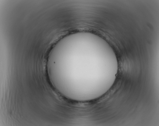 X0000115500664200911061023