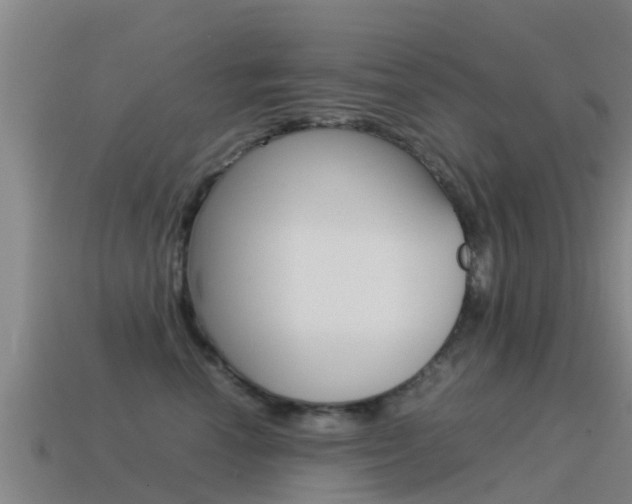 X0000115500666200911061023
