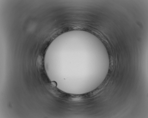 X0000115500667200911061023