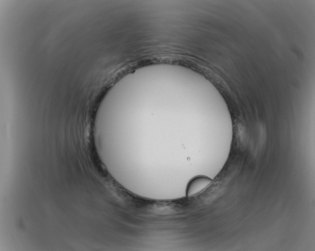 X0000115500668200911061023
