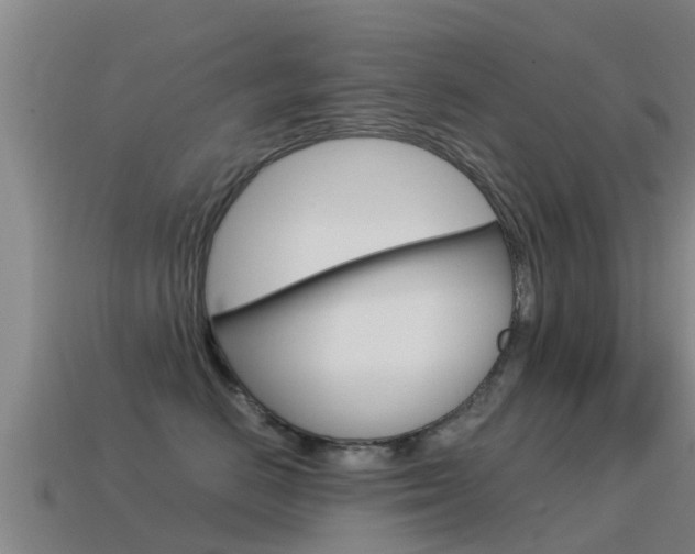 X0000115500670200911061023