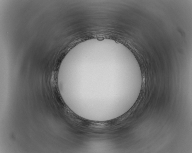 X0000115500671200911061023