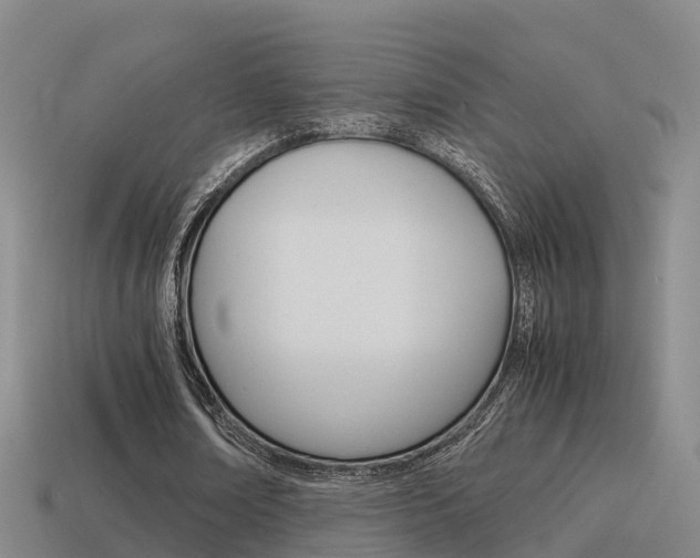 X0000115500674200911061023