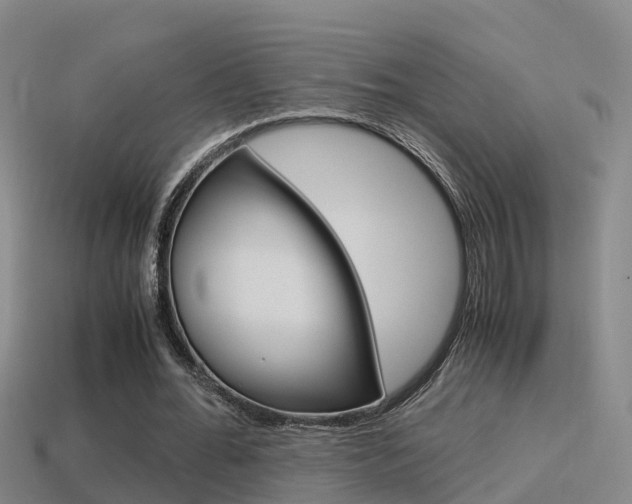 X0000115500676200911061023