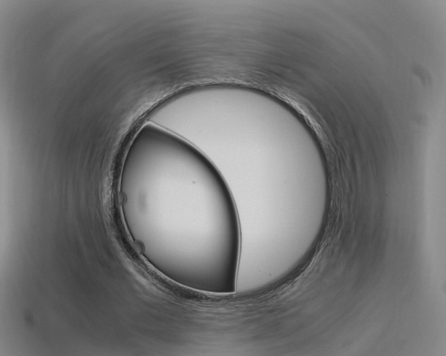 X0000115500677200911061023