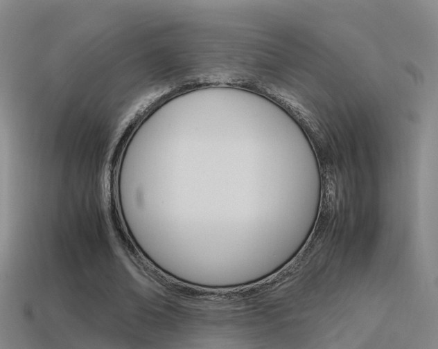 X0000115500678200911061023