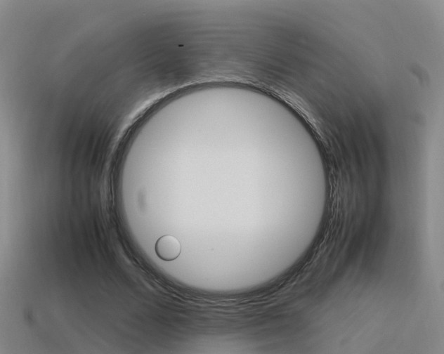 X0000115500680200911061023