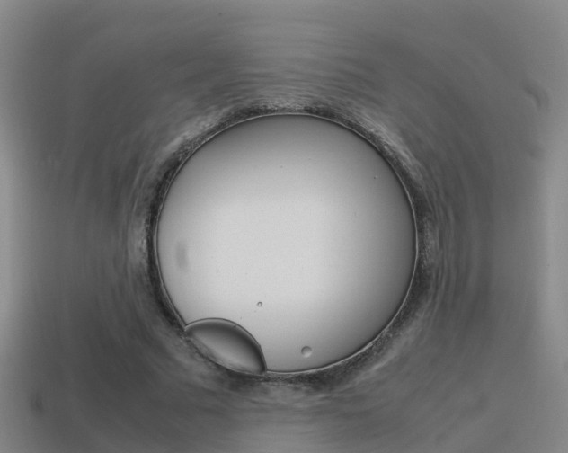 X0000115500681200911061023