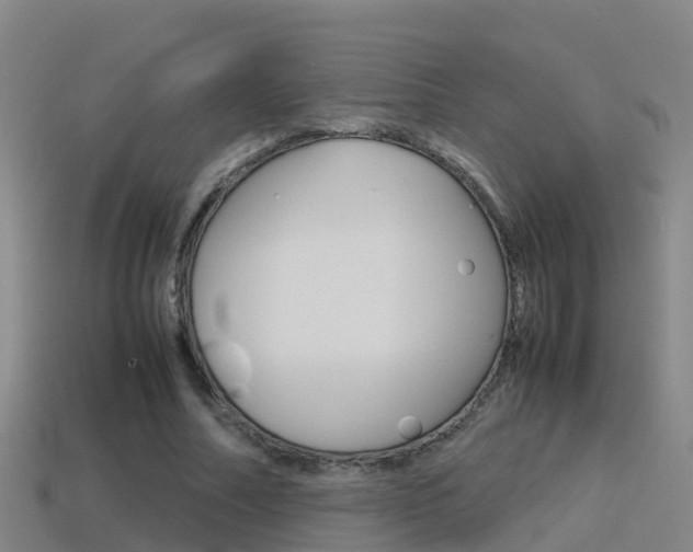 X0000115500682200911061023