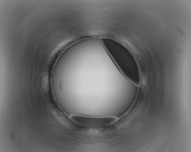 X0000115500684200911061023