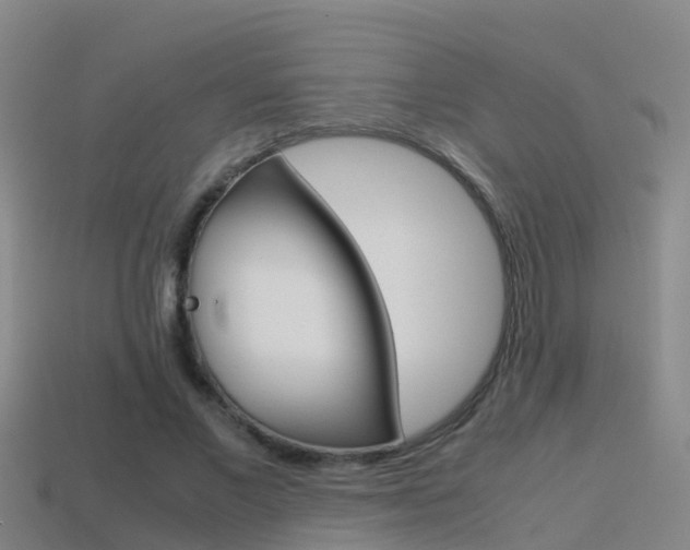 X0000115500685200911061023