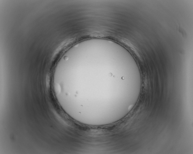 X0000115500686200911061023