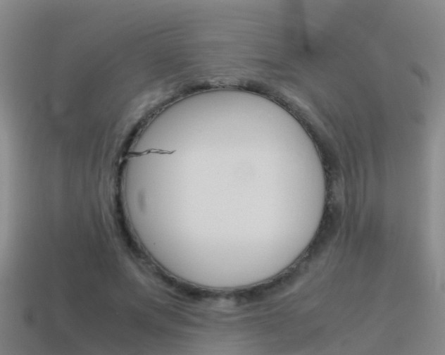 X0000115500687200911061023