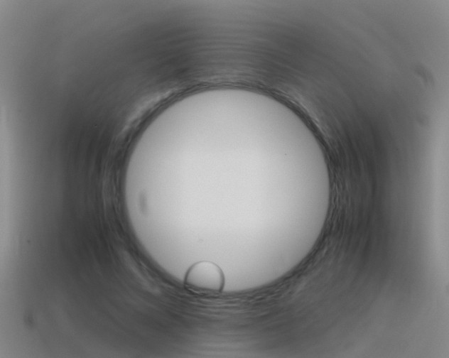 X0000115500688200911061023