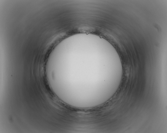 X0000115500690200911061023