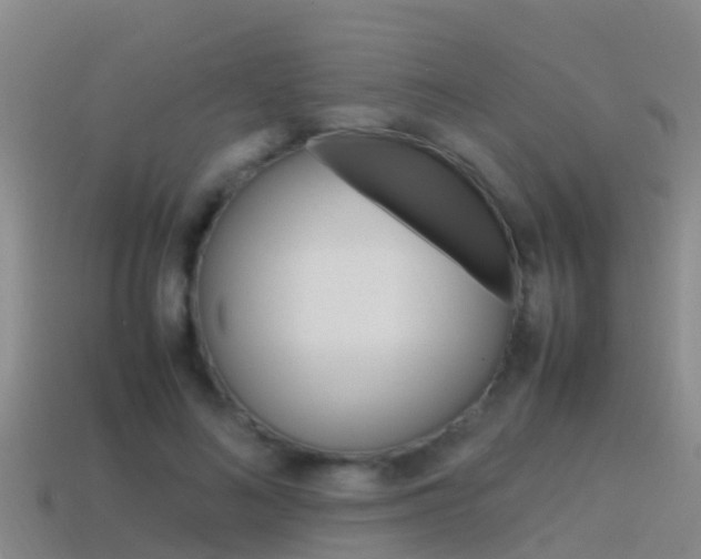 X0000115500692200911061023