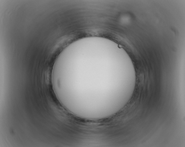 X0000115500694200911061023