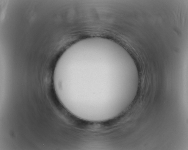 X0000115500695200911061023