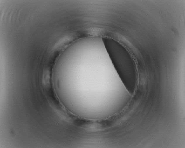 X0000115500696200911061022