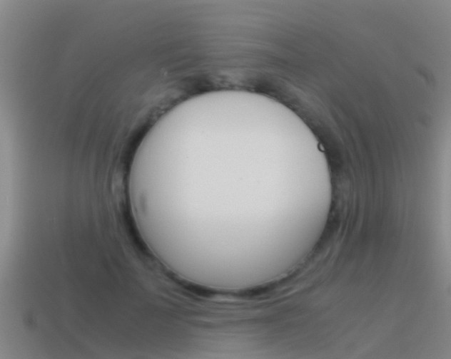 X0000115500699200911061022