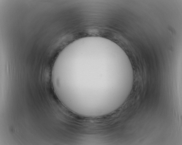 X0000115500702200911061022