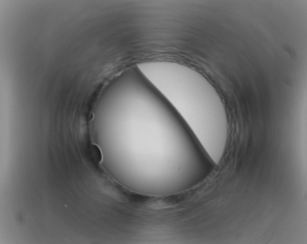 X0000115500704200911061022