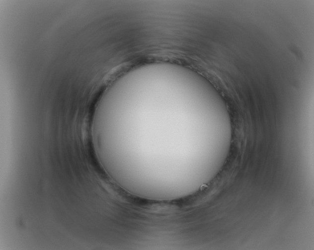 X0000115500708200911061022