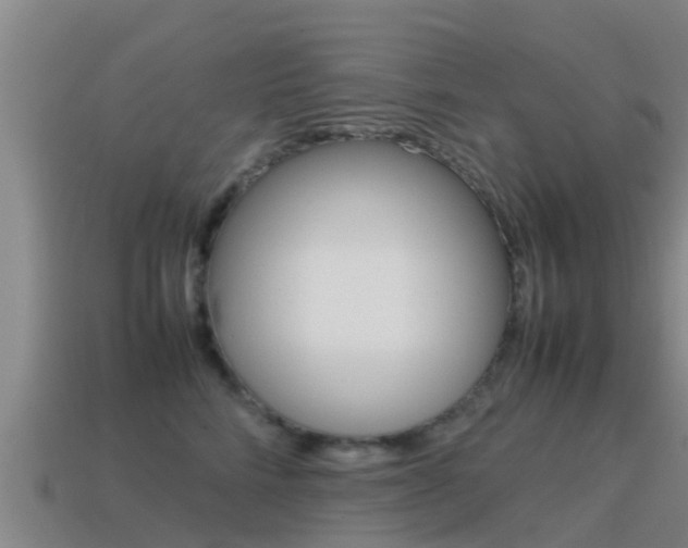 X0000115500712200911061022